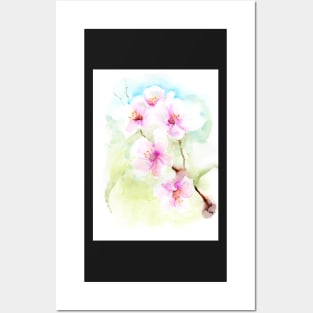 Apple flowers Posters and Art
